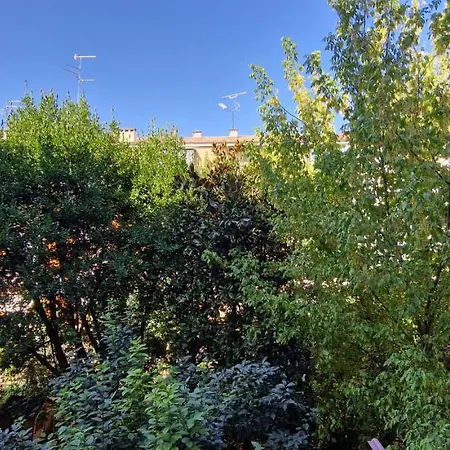 Maggiore 招待所 博洛尼亚