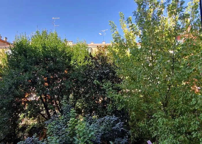 Maggiore בית הארחה בולוניה
