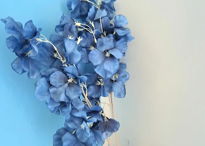 Maggiore בית הארחה 4*