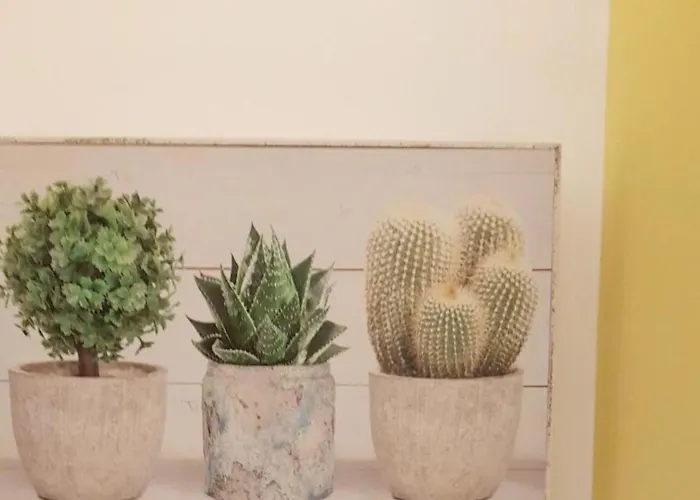 Maggiore 4* בולוניה