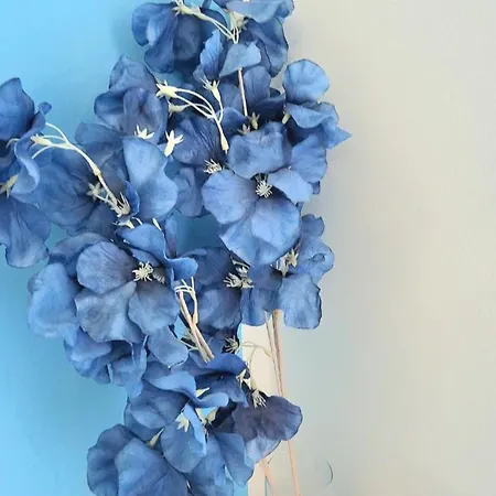 Maggiore Gæstehus 4*