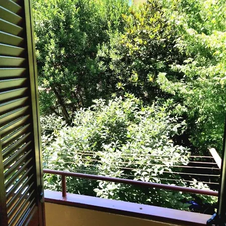 Stanza In Maggiore 4* Bologna
